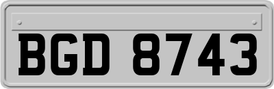 BGD8743