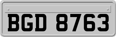 BGD8763