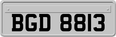 BGD8813