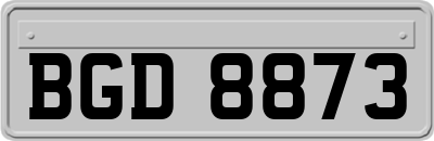 BGD8873