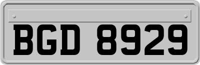BGD8929