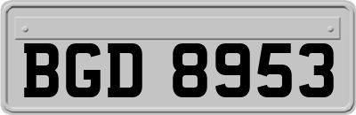 BGD8953