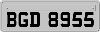 BGD8955