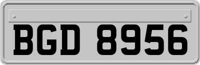 BGD8956
