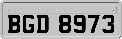BGD8973