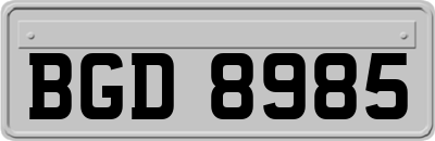 BGD8985