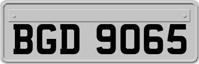 BGD9065