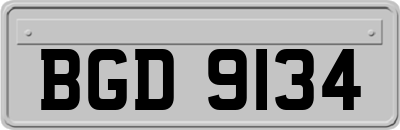 BGD9134