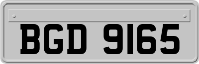 BGD9165