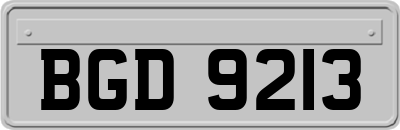 BGD9213
