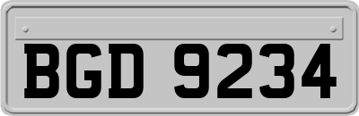 BGD9234
