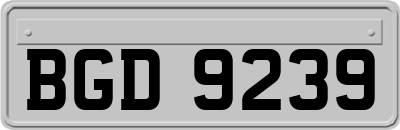BGD9239