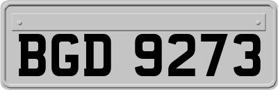 BGD9273