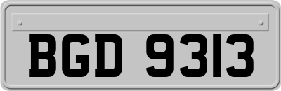 BGD9313