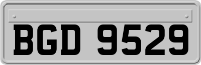BGD9529