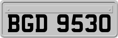 BGD9530