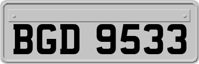 BGD9533