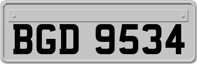 BGD9534