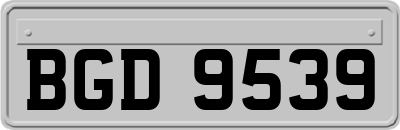 BGD9539