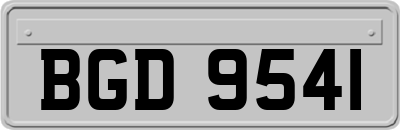BGD9541