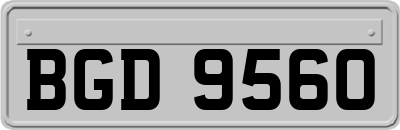 BGD9560