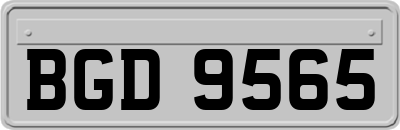 BGD9565
