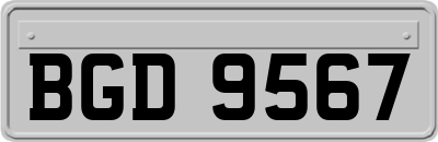 BGD9567