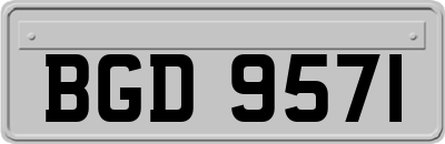 BGD9571