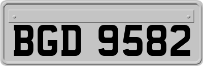 BGD9582