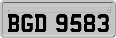 BGD9583