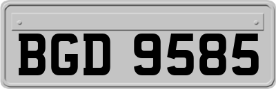 BGD9585
