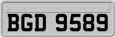 BGD9589