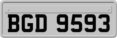 BGD9593