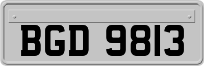 BGD9813