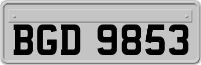 BGD9853