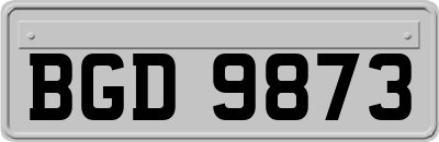 BGD9873