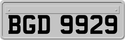 BGD9929