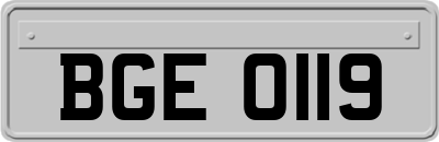 BGE0119
