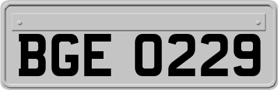 BGE0229