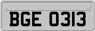 BGE0313