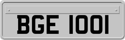 BGE1001