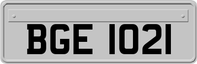 BGE1021