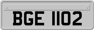 BGE1102