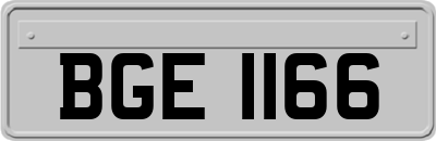BGE1166