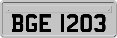 BGE1203