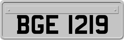 BGE1219