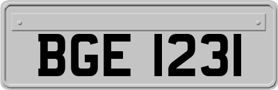 BGE1231