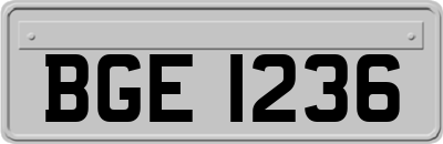 BGE1236