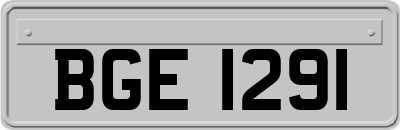 BGE1291