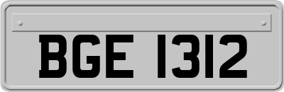 BGE1312